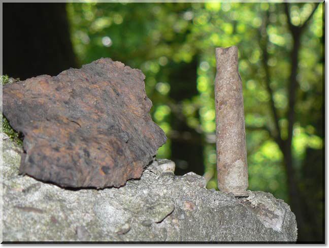 2012-06-10-BALADE-FORET FACQ-013.jpg